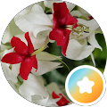 user_profile