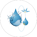 user_profile