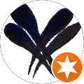 user_profile